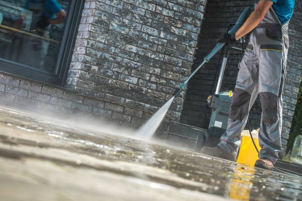 Best Animal Enclosure Cleaning  in Coal Fork, WV