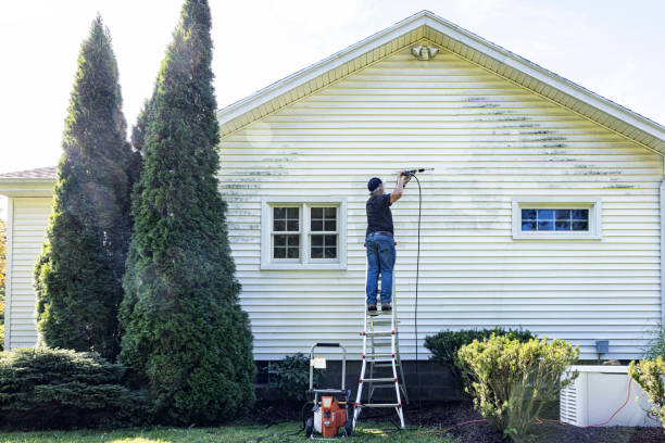 Best Patio and Deck Pressure Washing  in Coal Fork, WV
